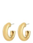 Pilgrim Phase Small Hoops Gold-Plated Guld