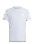 Adidas Performance Otr B Tee Vit