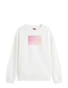 Tommy Jeans Tjw Rlx Gradient Flag Crew Vit