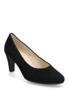 Gabor Pumps Svart