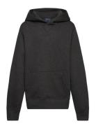 Ralph Lauren Kids Seasonal Fleece-Ls Po Hood-Tp-Knt Grå
