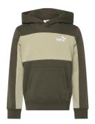 PUMA Ess Block Small Logo Hoodie Fl B Grön