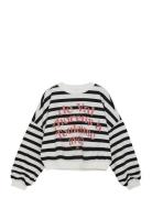 Indian Blue Jeans Sweater Stripe Multi/patterned