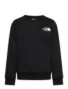 The North Face Teen Simple Dome Crew Svart