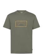 Billabong Arch Frame Ss Grön