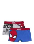 Spider-man Boxer Multi/patterned