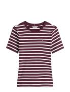 Tommy Hilfiger Slim Cody C-Nk Ss Burgundy