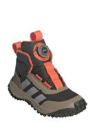Adidas Sportswear Fortatrail Boa K Brun