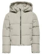 Kids Only Kogdolly Life Sht Puffer Jacket Otw Noos Kräm