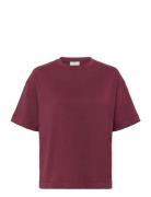 Kaffe Katomina T-Shirt Röd
