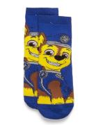 Paw Patrol Socks Blå