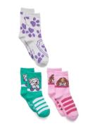 Paw Patrol Socks Multi/patterned