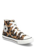 Converse Chuck Taylor All Star Multi/patterned