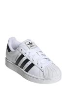 Adidas Originals Superstar Ii J Vit