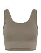 Moonchild Yoga Wear Soft Rib Seamless Crop Top Khaki Green