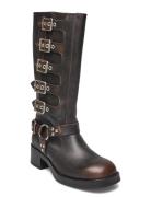 Steve Madden Battle Brun