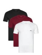 BOSS Tshirtrn 3P Classic Multi/patterned