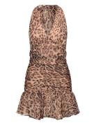 Bardot Mave Halter Neck Mini Dress Beige