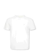 Calvin Klein Ss Slim Stretch Cotton Crewnk Te Vit