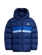 Adidas Sportswear Lk Sd Jkt Blå