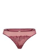 CHANTELLE Legend Tanga Rosa