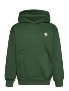 Hummel Hmljr Loose Hoodie Bee Grön