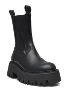 Steve Madden Obtain Svart