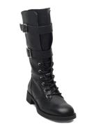 Steve Madden Zoey Svart