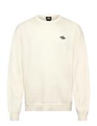 Dickies M Summerdale Sweater Kräm