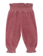 En Fant Pants Velour Rosa