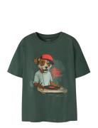 Name It Nkmnova Ss Nreg Top Box Grön