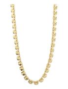 Pilgrim Sense Necklace Gold-Plated Guld