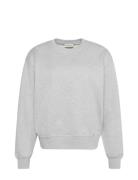 Calvin Klein Jeans Ls Archive Logo French Terry Rlx Grå