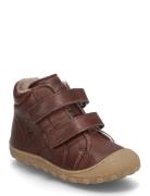 Bisgaard Bisgaard Hale V Lamb Brun