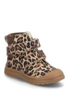 ANGULUS Boots - Flat - With Velcro Multi/patterned
