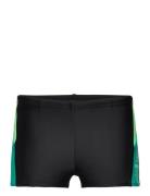 Speedo Boys Dive Aquashort Svart
