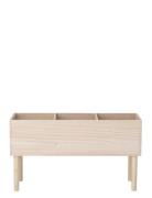 Bloomingville Douve Bogkasse, Natur, Kejsertræ