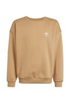 Adidas Originals Boyfriend Crew Beige