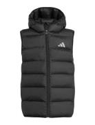 Adidas Sportswear J Sd Vest Svart