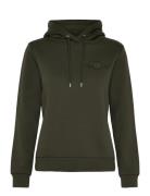 GANT Reg Tonal Shield Hoodie Khaki Green