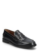Steve Madden Natan Svart