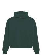 Prohibited Over D Hoodie Grön