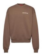 Prohibited 10119 Crew Neck Brun