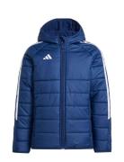 Adidas Performance Tiro24 Wintjkty Blå