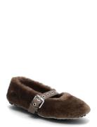 Steve Madden Toasty Brun