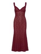 Bardot Alegra Stretch Lace Midi Dress Burgundy