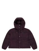Lee Jeans Short Puffer With Hood Burgundy