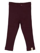 Petit Piao Legging Modal Burgundy