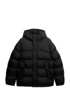 Superdry Hooded Tech Padded Jkt Svart