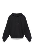 Calvin Klein A- Logo Emb French Terry Po Hood Svart